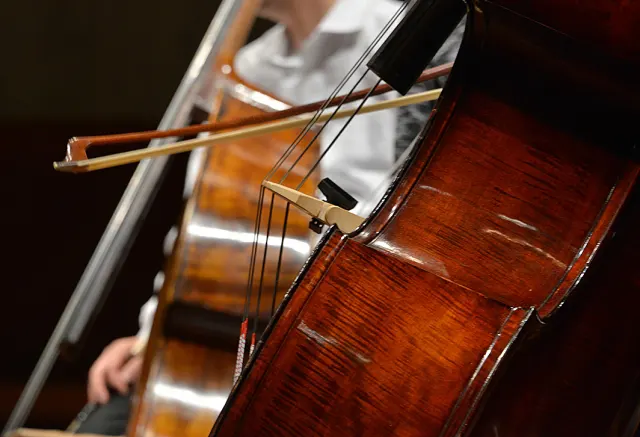 コントラバス
